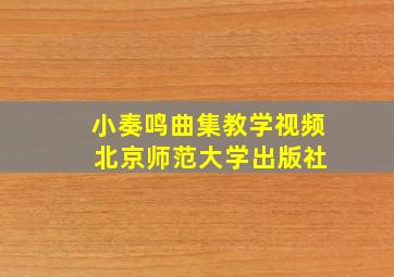 小奏鸣曲集教学视频 北京师范大学出版社